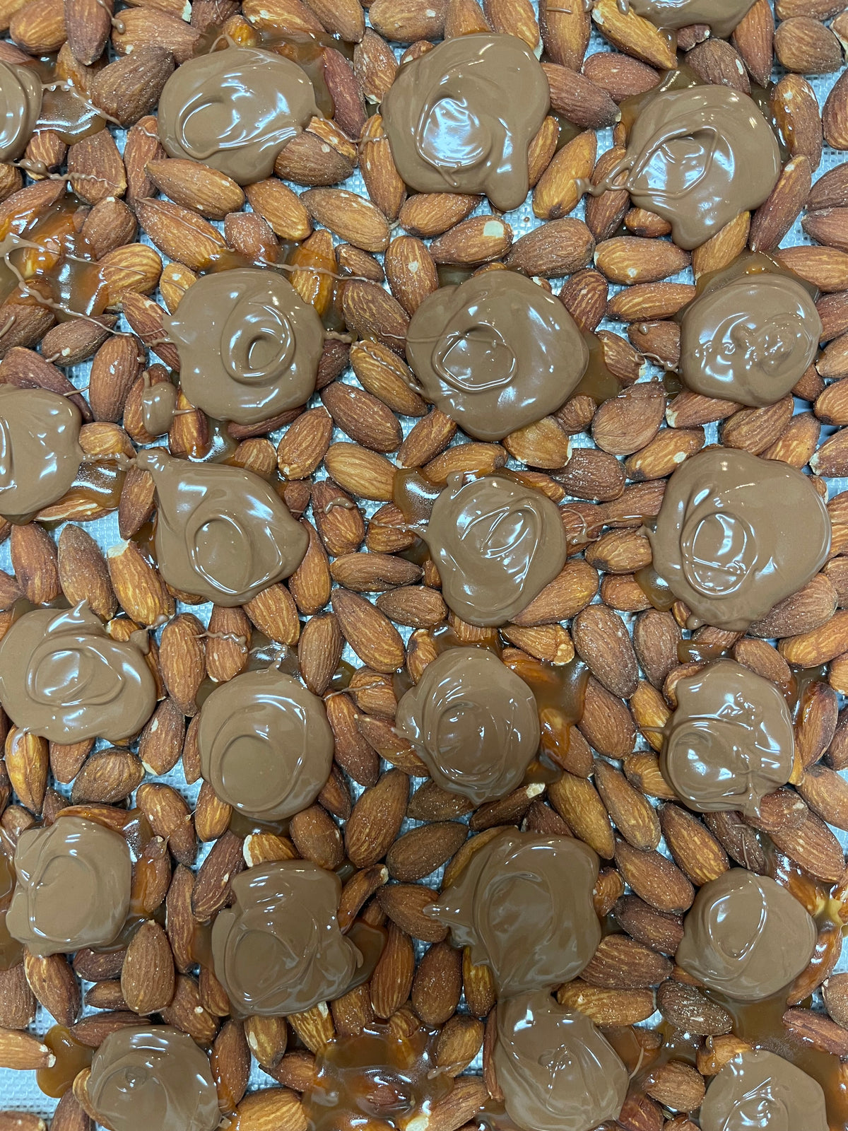 Milk Chocolate Turtles